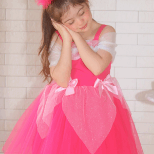 Vestido Princesa Aurora Tamanho 4
