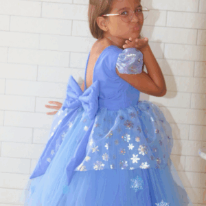 Vestido Princesa Elsa Tamanho 6