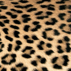 Guardanapo De Papel Leopard Couture 33X33 cm