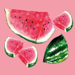 GUARDANAPO MELON NAPKIN 33X33 CM