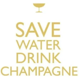 GUARDANAPO DRINK CHAMPAGNE! 25X25CM