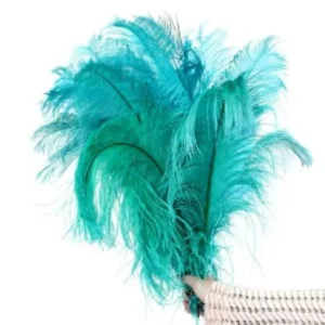 PLUMA DE AVESTRUZ SORTIDA