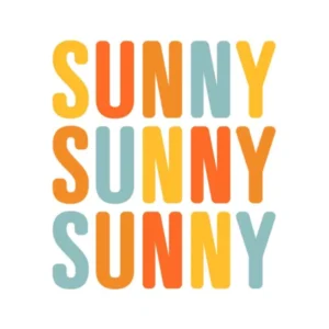 GUARDANAPO DE PAPEL SUNNY 25X25 CM 20 UN