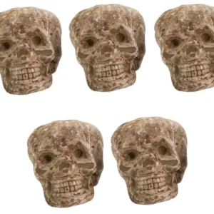 Mini Cabeça de Caveira Halloween com 5Un