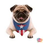 ACESSORIO PETS BANDANA CAPITÃO AMERICA TAM P AZUL ESCURO