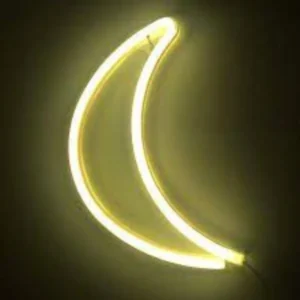 LUMINÁRIA NEON LUA 19X30X1,5CM BRANCO