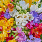 Guardanapo Variety Of Freesias 33 Cm